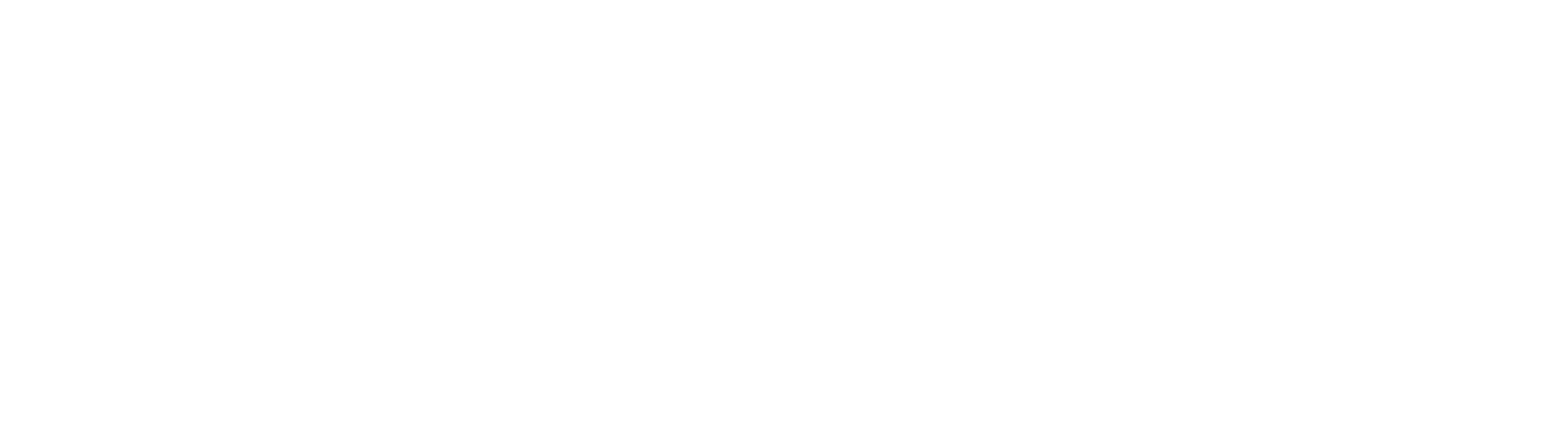 Allan Law & Policy